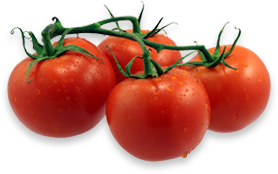 Fresh Tomato